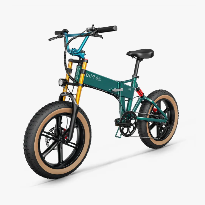 Fiido M1 Pro Fat Tire Electric Bike